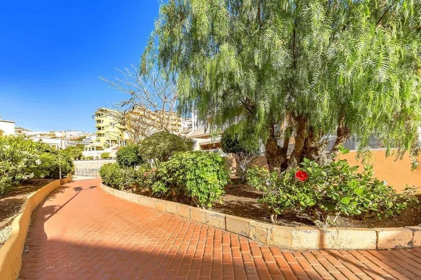 Tenerifeopenhome Costa Adeje Comfort Apartment 3 Pools Luaran gambar